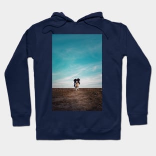 walking a desolate field Hoodie